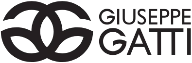 Giuseppe Gatti Formazione